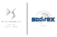 Logo-DS Sodirex